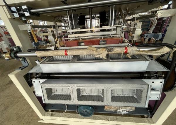 Vácuo da bolha da indústria alimentar que forma a máquina automática