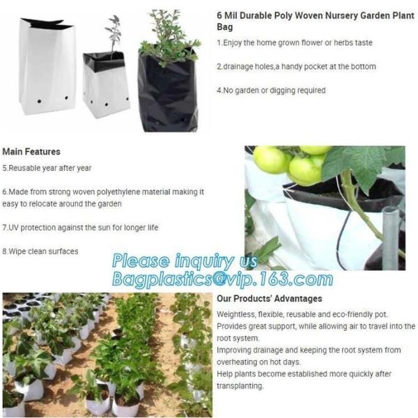 Planter Bags, Grow Bags, Cultivating Bags, Nursery Pot, Greenhouse, Agricultural Film,  Horticulture Garden