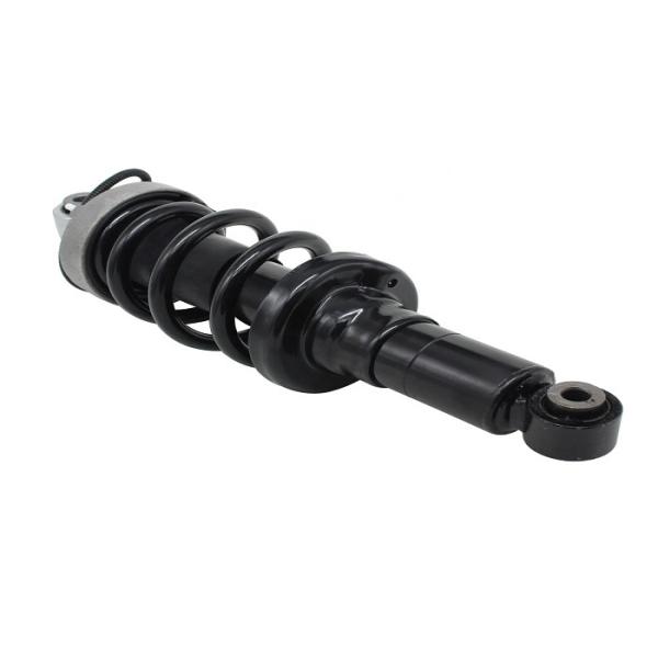 420412019AJ 420412019Q Air Suspension Strut For Audi R8 Front Air Shock Assembly 420412019AH 420412020AH
