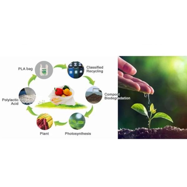 ok compost home certified custom wholesale PLA based biodegradable compostable vegetable fruit plastic produce bag on