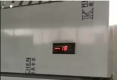 Vegetable Meat Stainless Steel Freezers Single Door 16 Cu Ft