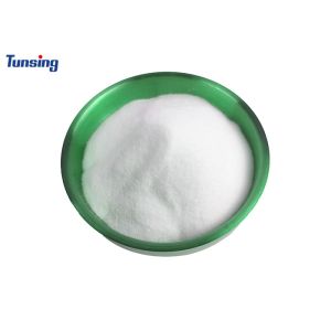 DS213 Polyamide Powder Hot Melt Adhesive Powder High Temperature Washed
