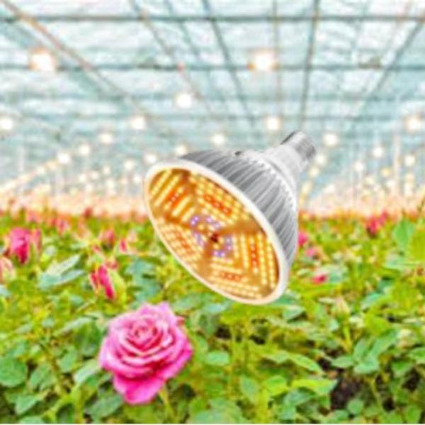 IP44 20W Horticulture LED Grow Light Bulb For Indoor Plants 2 Years Warranty