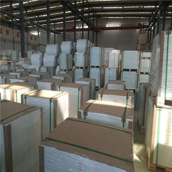 New Eco White Paper 120g 145g Tear Proof Stone Paper for Printing Map