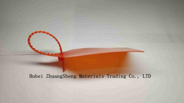 Customized Disposable Plastic Seal Tag   Nylon Cable Tie Tag  self locking nylon cable ties