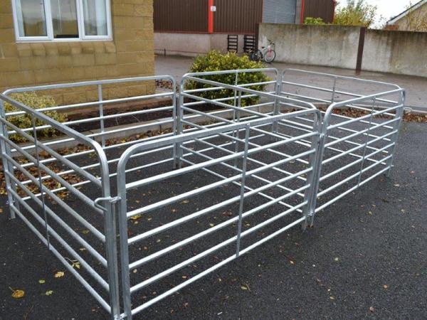 Steel Wire Mesh Sheep Fence Panels For Sheep Farming 1040 PCS/40FT HC