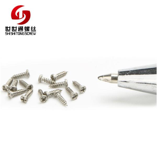 M1-M3 Pan Head Phillips Self Tapping Mini Screws Stainless Steel