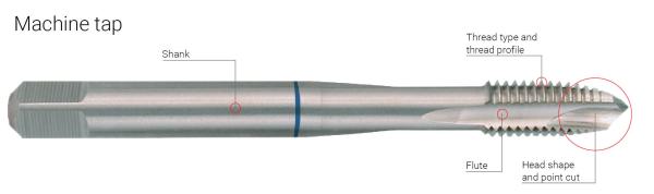 Ti-Coated DIN371 Spiral Point HSS Machine Taps M3-M50