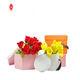 Embossing PDF Format Folding Gift Boxes Premium Glossy Magnetic