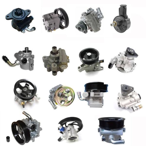 4007.93 Automotive Car Steering Pump For Citroen Berlingo