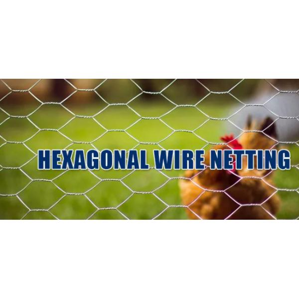 16 Gauge Black Vinyl Coated Poultry Hex Netting Mesh 1.5