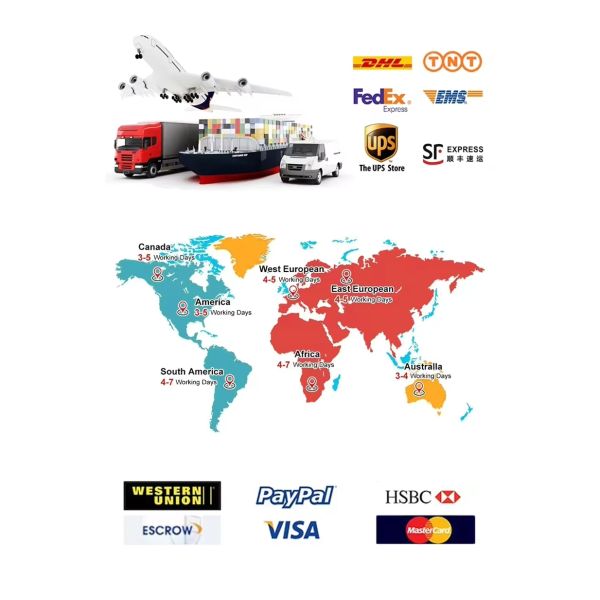 For Mitsubishi 6D24 Overhaul Piston Assembly Excavator Engine Cylinder Piston Ring