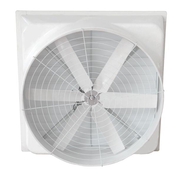 28000 M3/h Poultry House Wall Mounted Industrial Fiberglass Cone Exhaust Fan