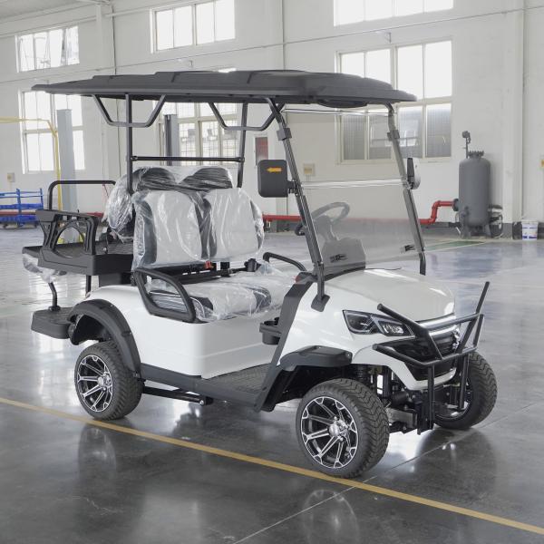 Cargo Transportation Made Easy with ENPOWER Controller Electric Golf Cart 150kg Capacity
