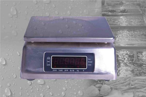 IP68 Waterproof Electronic Weighing Scale With Stainless Steel Housing ATG-S