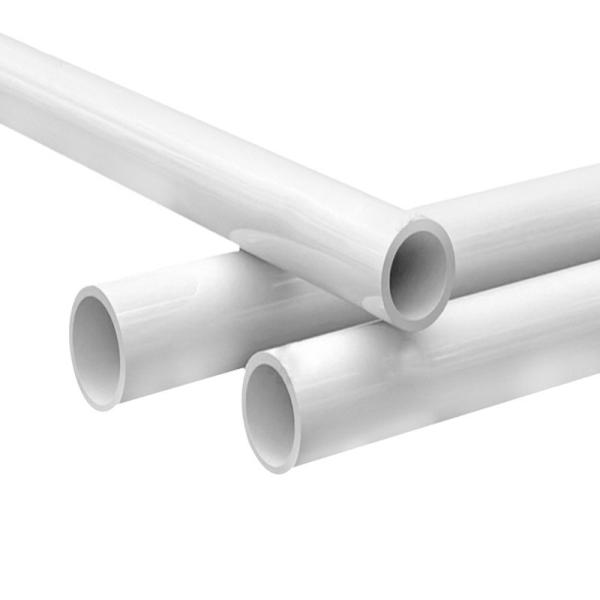 ミント レタス スパナチ セラーリ スカリオン コリアンダー ストロベリー シコリー