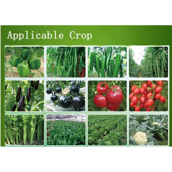 Agriculture Chemical Pesticide Fungicide Dimethomorph 97% TC