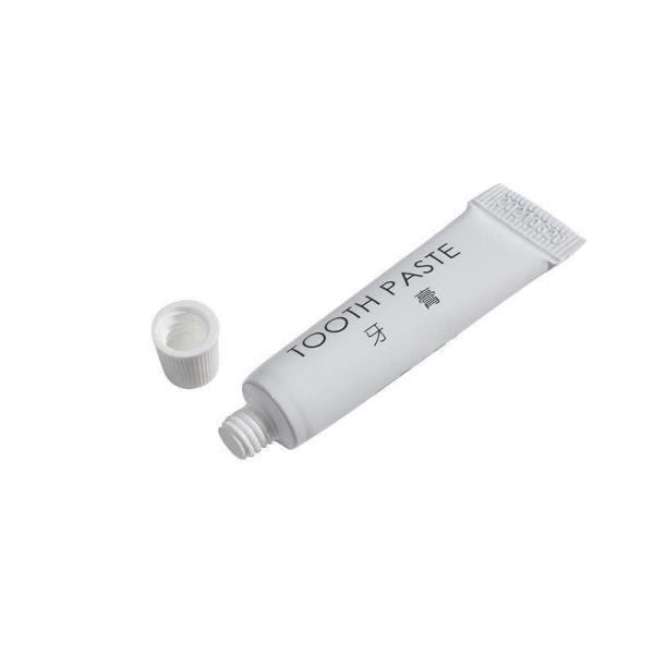 Empty Plastic Customizable Portable Travel Bottle Tube with CE and Customized Request