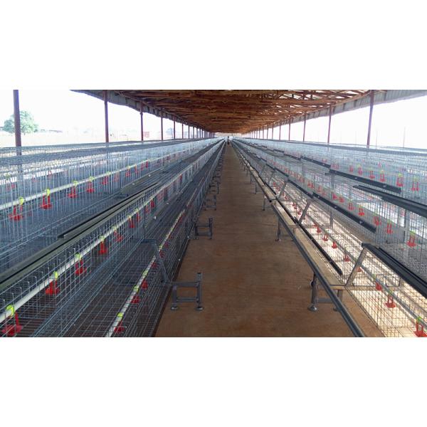 Гальванизированный Broody цыпленок клетки цыпленка, 3 или 4 полов поднимая оборудование