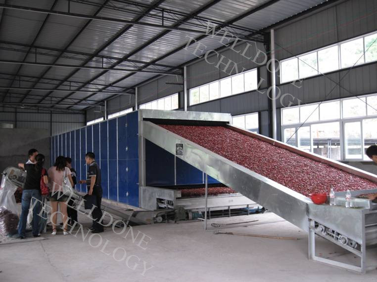 DWF Candied Fruit / Preserved Fruit / Confect Belt Dryer (Special Design)