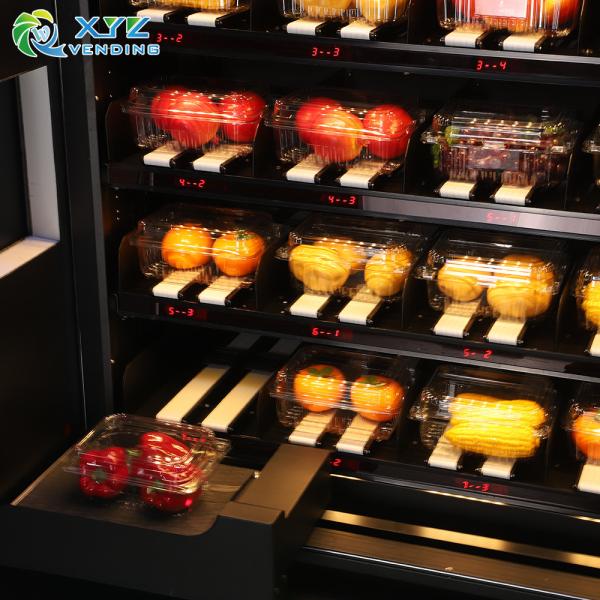 Automatic Combo Coin Operated Banknote Refrigerated Touch Screen Food Salad Sandwich Vending Machine