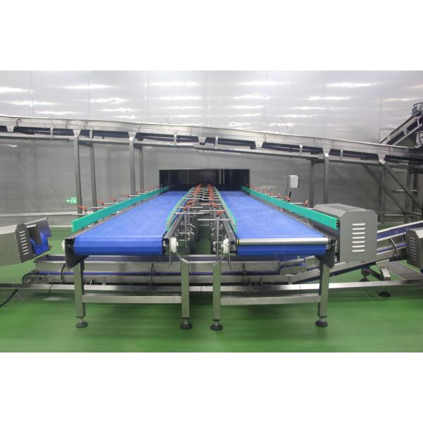 Mesh Belt Automatic Conveyors System For Industrial Automation