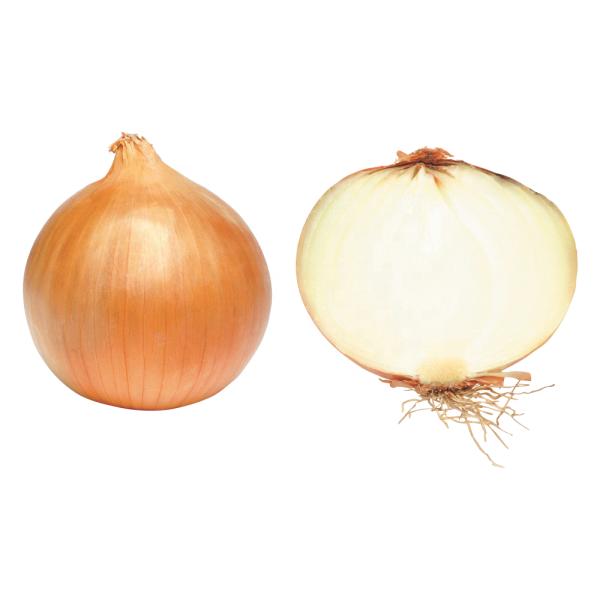 New crop of red shallot onion with low price for export Chinese onion