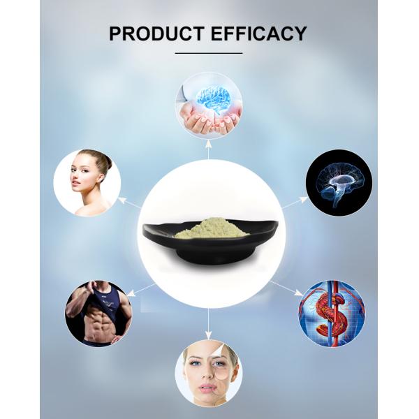 High Purity 99% Urolithin A Supplement CAS 1143-70-0 For Food Manufactured