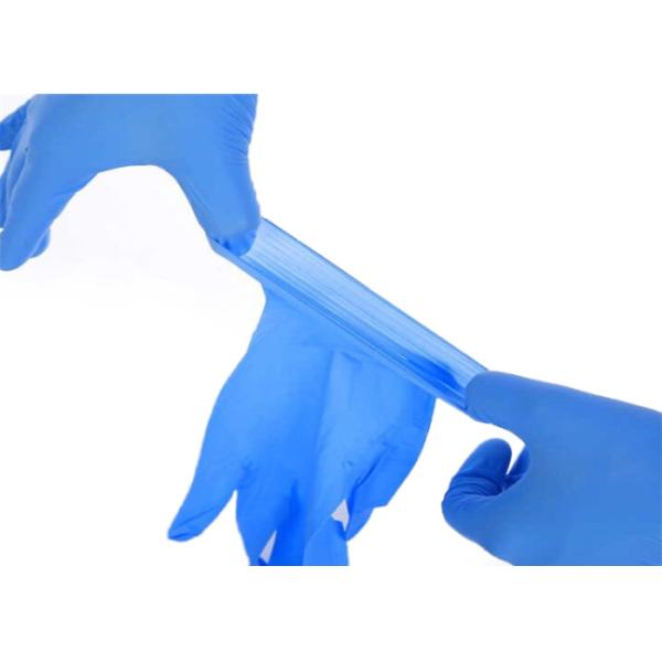 gardening Disposable Surgical Rubber Gloves , Disposable Exam Gloves XS S M L Xl