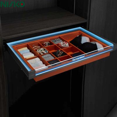 Pull Out Underwear Wardrobe Storage Drawer 600mm 900mm With LED Light