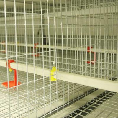 H datilografa a baixa gaiola do pintainho do bebê da taxa de mortalidade 4 séries para a área do ² da exploração agrícola 300CM da grande escala