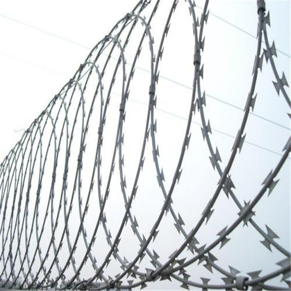 Hot Dipped Galvanized Razor Wire Mesh Fence 12*14 Gauge Free Sample