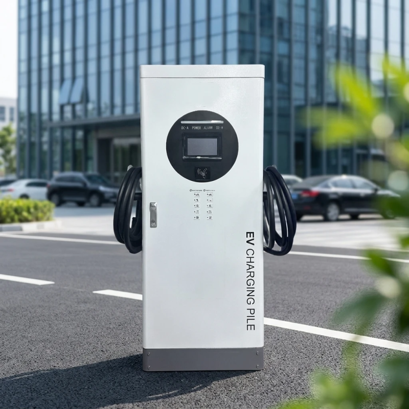 120kW Dual Connector DC Fast Charger for Highway Rapid Charging EV Power Pile