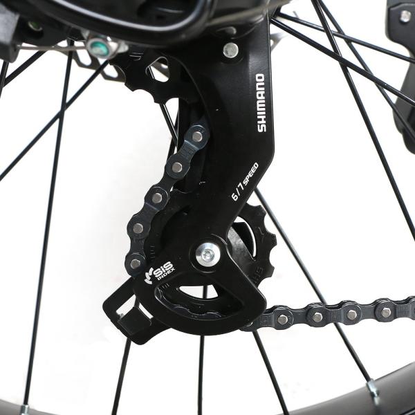 Kenda Tires Lightweight Ladies Electric Bike , 500w Lightest Step Through Ebike