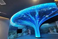P1.5 Module LED flexible en couleur complète PCB haute résolution IP31