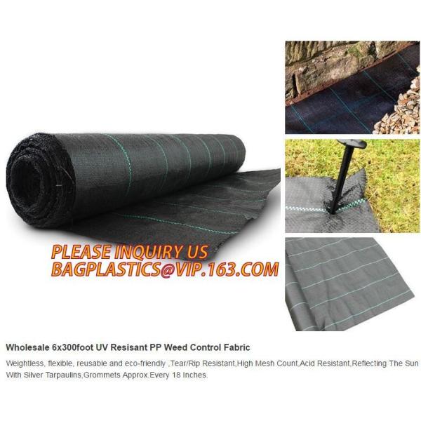 Плантатор сада пластмассы полиэтилена ЛДПЭ кладет в мешки для овоща, дерева и саженец цветка, ЛДПЭ пластмассы отверстия 15 ГАЛЛОНОВ растет б