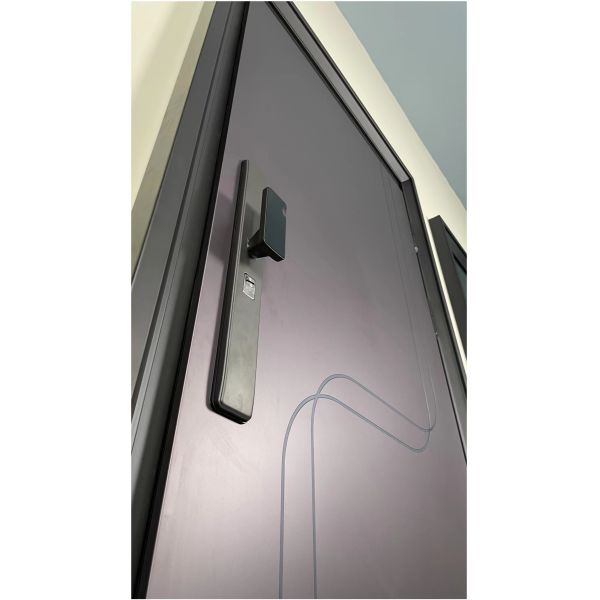 Sturdy Steel Exterior Entrance Door For Office Apartment Exteriors