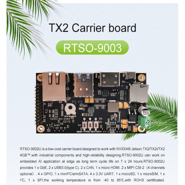 NVIDIA Jetson TX2 Carrier Board RTSO-9003 Development Board with 12V Power Supply