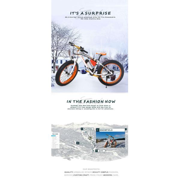 Colorful Big Two Wheel Electric Bike With A Max Range 40km LED Light