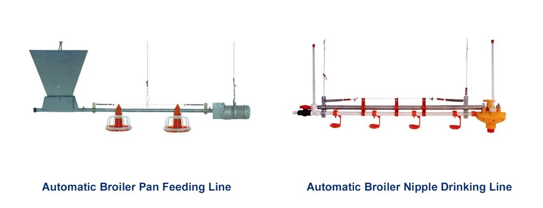 Automatic Feeding and Drinking Broiler Poultry Equipment with Galvanized Light Steel Frames and Steel Panel Walls for Broiler Raising System