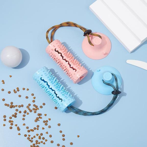 Entraînement à l'obéissance