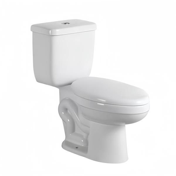 Modern Ceramic Toilet WC 680x370x830mm Two Piece S-Trap Floor Mount Standing Toilet Set
