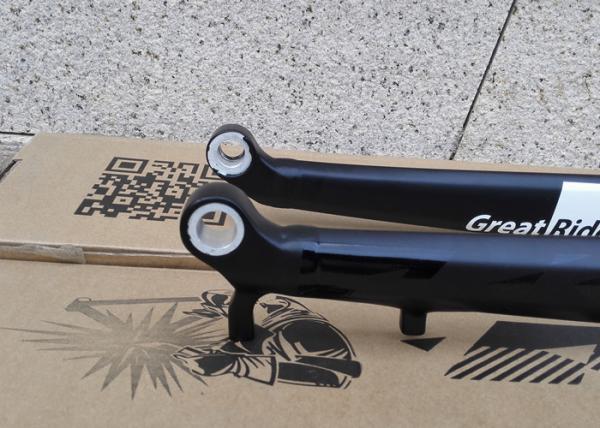 Aluminum 29er Rigid Custom Bike Forks 100 X 15 Thru - Axle Disc Brake