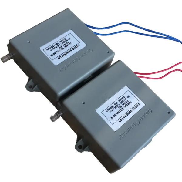 110v Ozone Generator for Water Disinfection 50-100 mg/hr Ozone Output Applicable