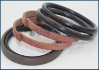 991-00152 99100152 991 00152 991/00152 JCB Cylinder Seal Kit Oil Seal Kit Fits 3CX
