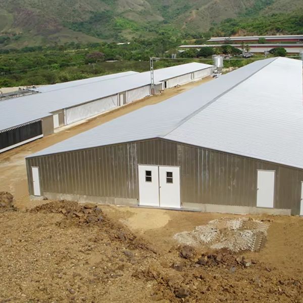 Prefabricated Steel Warehouse Light Steel Structure Workshop Steel Frame Construction