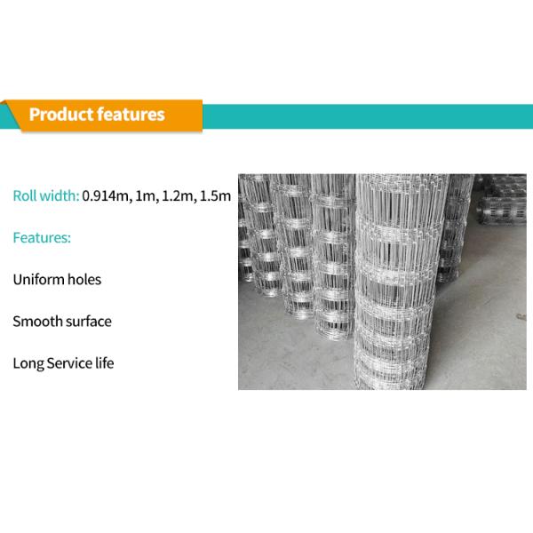 Китай Профессиональное производство Торговая сеть бычьи прут Ферма ограждение Стенные сетки для скота Китайские производители