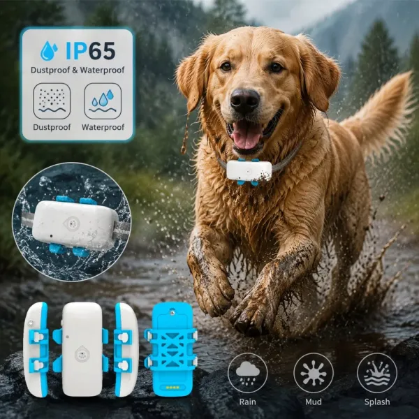 VP-Pet 4G Pet GPS Tracker with Custom Packaging Service