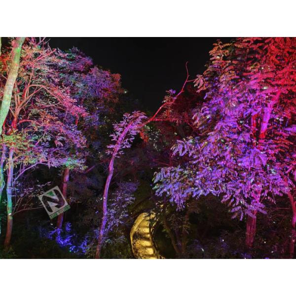 532 Nm Wavelength Animation Laser Light with Class IIIa Certification