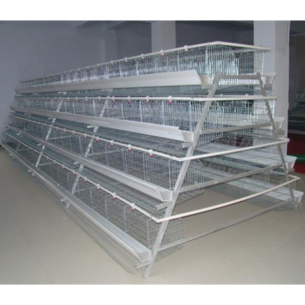 4tiers 128/160birds layer chicken battery poultry cage Commercial chicken poultry cage